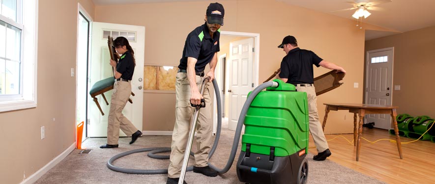 Hazel Park, MI cleaning services